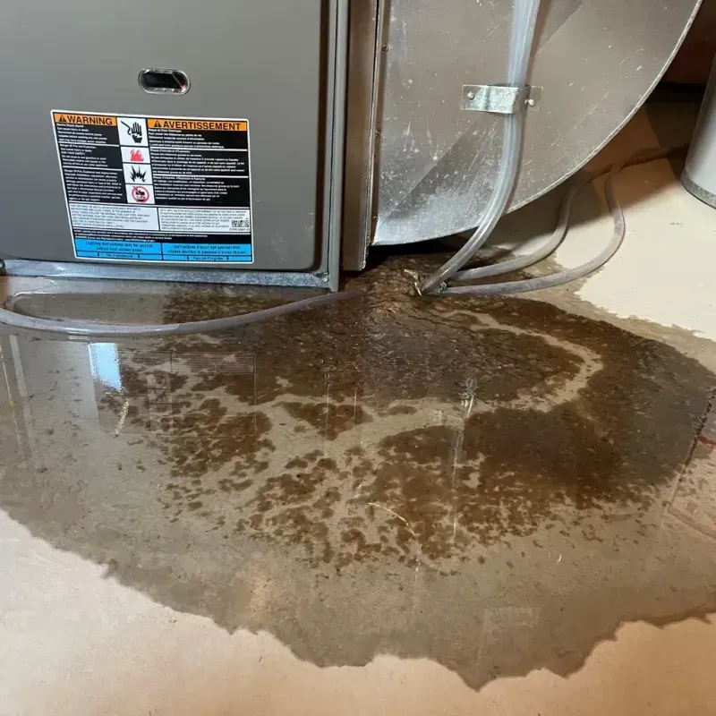 Appliance Leak Cleanup in Burke County, NC